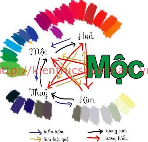 Màu sắc hợp với người mệnh Mộc